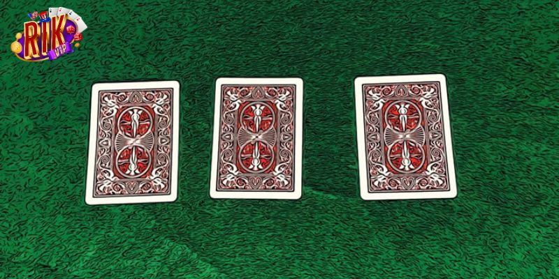 Hướng dẫn cơ bản cho người mới